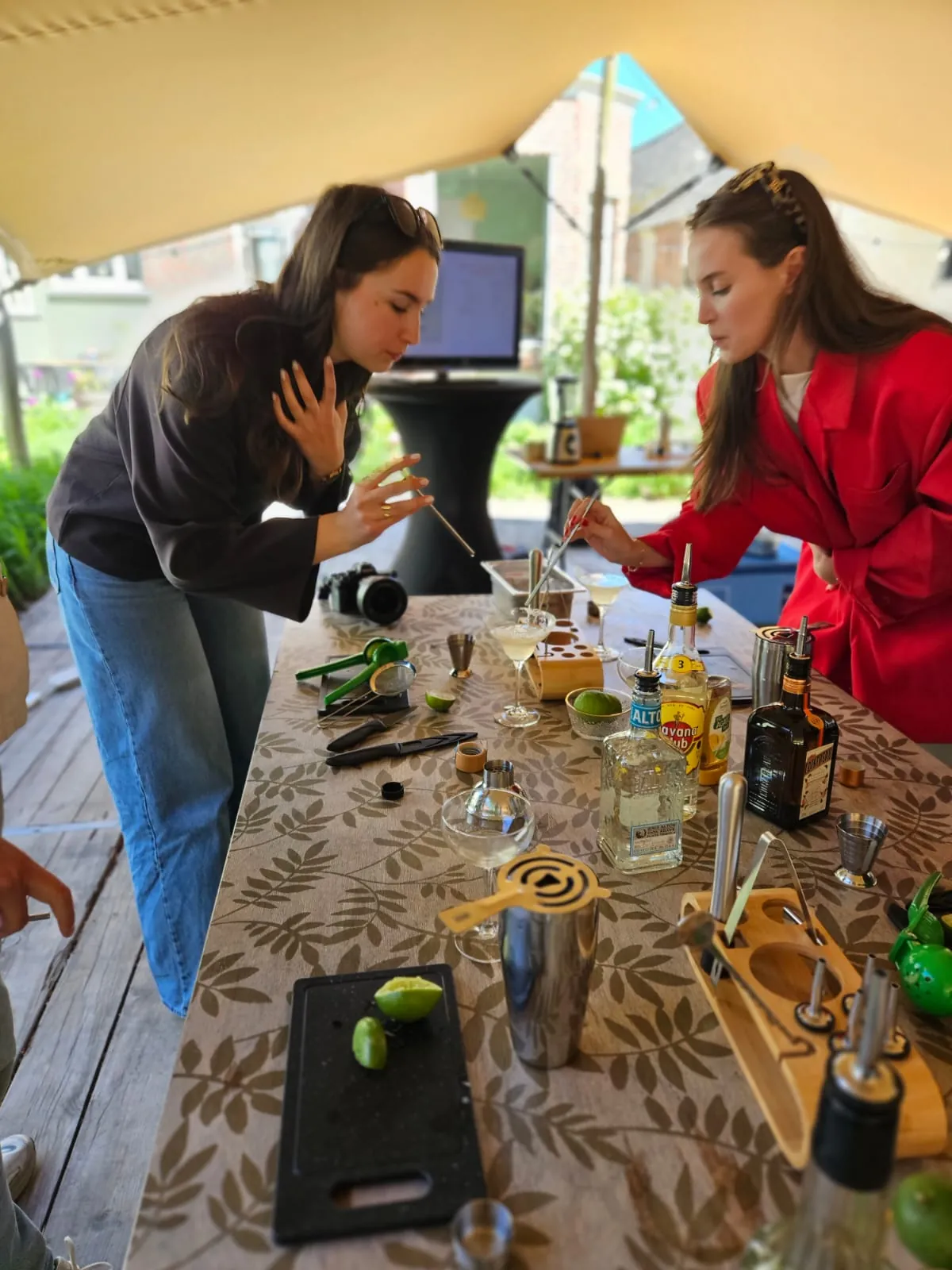 The Art of the cocktail/mocktail